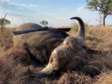 CapeBuffalo-hunting10-th.jpg