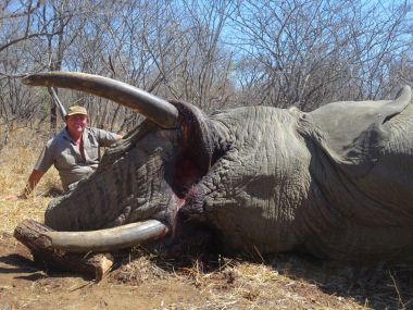 Elephant-hunting01-th.jpg