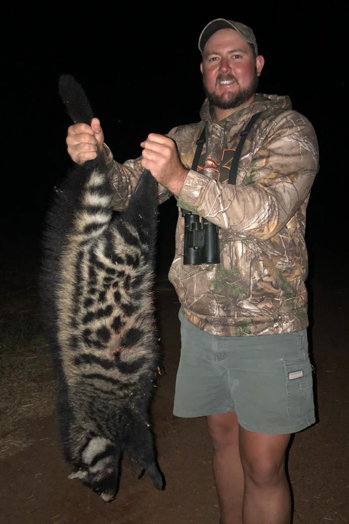 Hunting Civet Cat with Likhulu Safaris