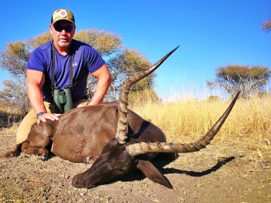 Impala-hunting12-th.jpg