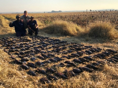 LikhuluSafaris-WingShooting-03-th.jpg
