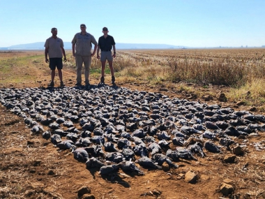 LikhuluSafaris-WingShooting-05-th.jpg