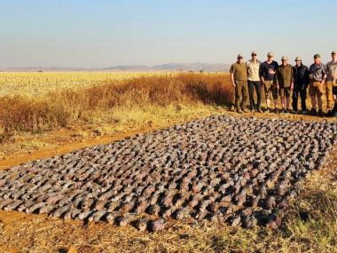 LikhuluSafaris-WingShooting-06-th.jpg