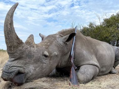 Rhino-hunting03-th.jpg