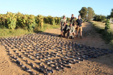 likhulu-wingshooting15-th.jpg