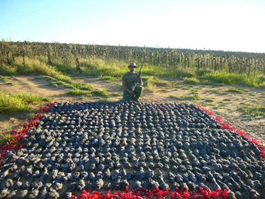 likhulu-wingshooting26-th.jpg