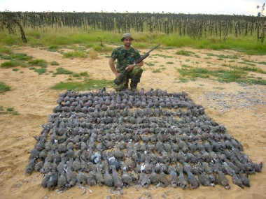 likhulu-wingshooting27-th.jpg