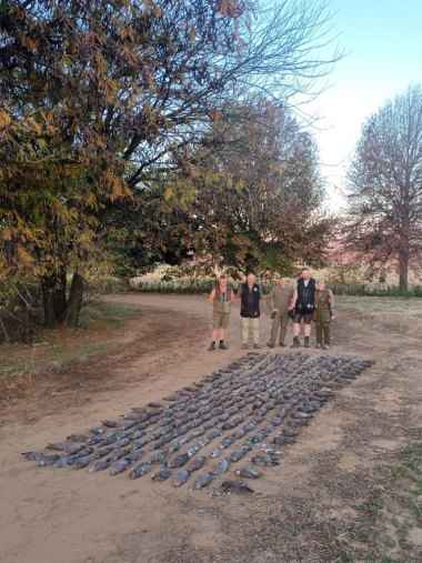 likhulu-wingshooting29-th.jpg