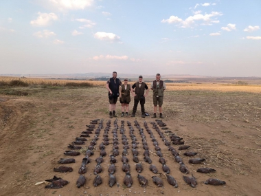 likhulu-wingshooting30-th.jpg