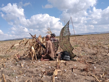 likhulu-wingshooting33-th.jpg