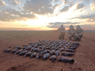 likhulu-wingshooting34-th.jpg