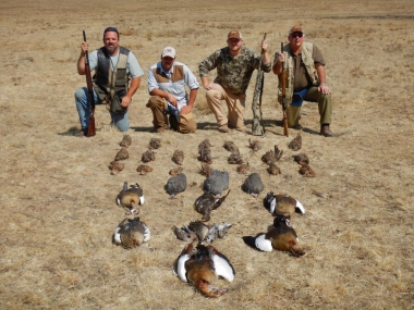 likhulu-wingshooting41-th.jpg