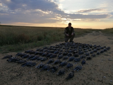 likhulu-wingshooting49-th.jpg