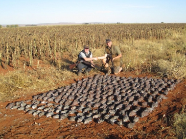 likhulu-wingshooting50-th.jpg