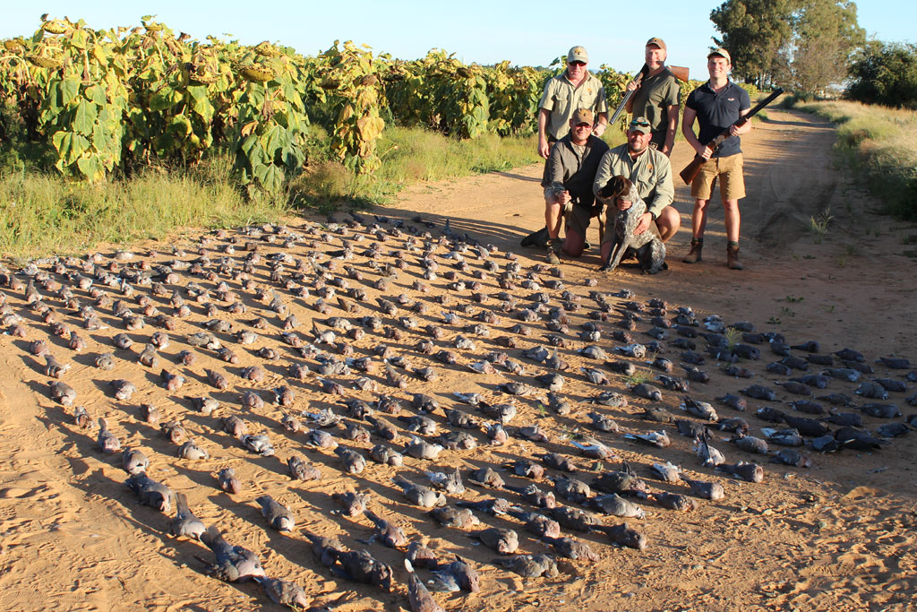 Wing Shooting with Likhulu Safaris